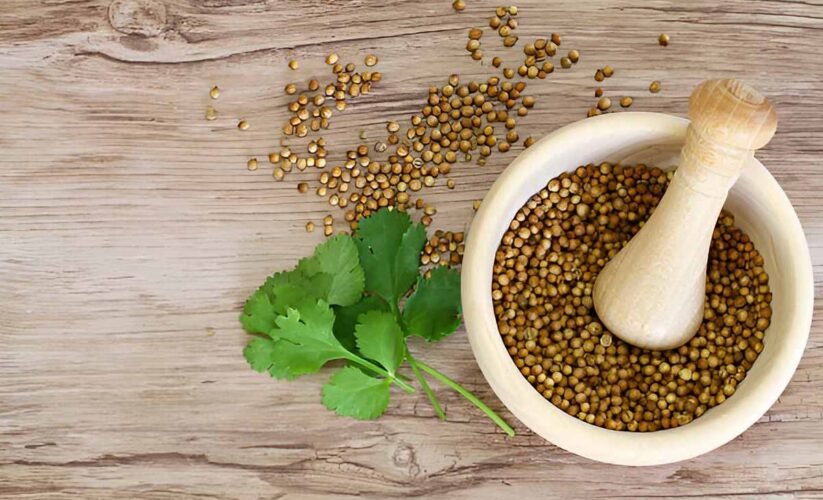 The Best Coriander Substitute