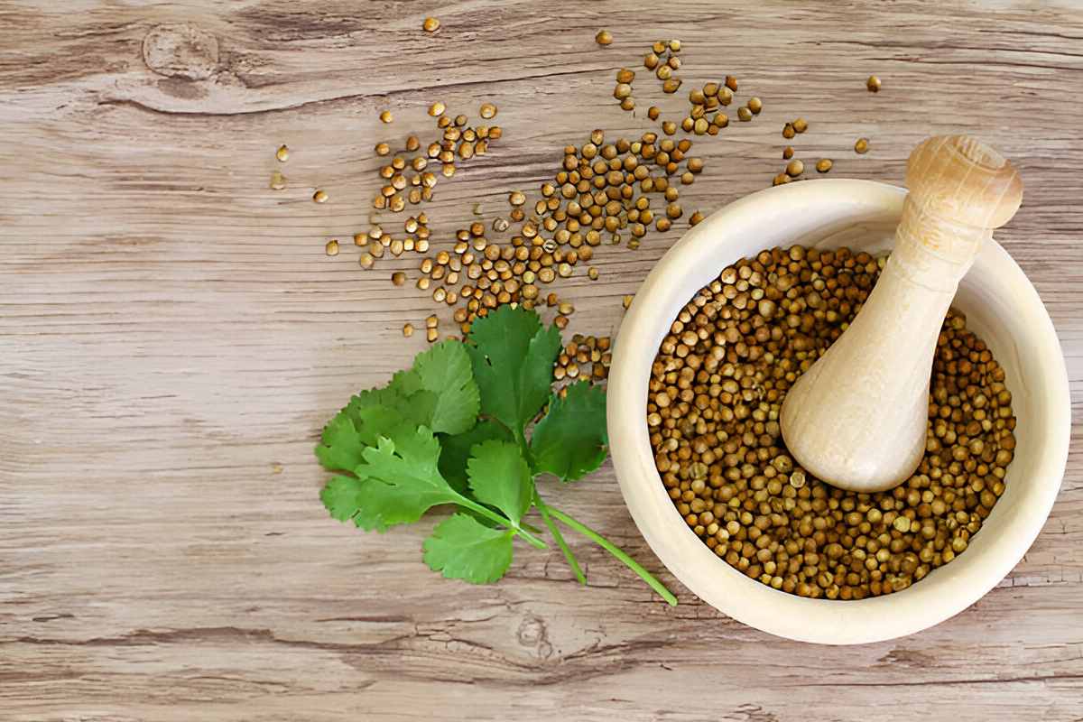 The Best Coriander Substitute